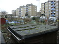 Allotments on the Regent