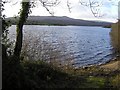 Lough Macnean Upper, County Fermanagh