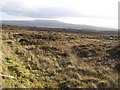 Greaghnaleragh Townland