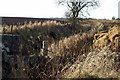 Pathney Burn