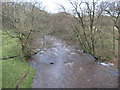 Afon Alwen from Pont y Bettws