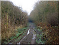 Railway cutting, Birdingbury