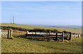 TQ4505 : Sheep Pens at Mill Mound, Beddingham Hill by Kevin Gordon