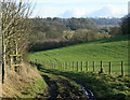 2009 : Bridleway off Shepherd