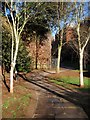 Path beside city walls, Exeter