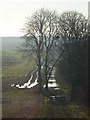 Track and trees, Ewelme