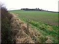 Trent Valley Way heading north from Collingham