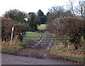 Ridgeway unclassified road, Snowford Hill (4)