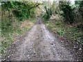 Byway to the Cotswold Way, near Prestbury