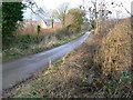 Lane near Prestbury