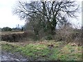 Restricted byway, near Prestbury