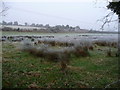 Thruxton - Frosty Field