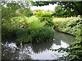 The Balancing Pool, Charlton Park