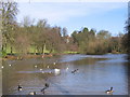 Manor Farm Lake