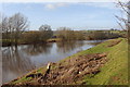 River Usk, with flood debris on the bank.