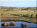 Small pond at Combhills