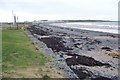 Shoreline at Cranfield