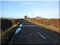 NT7042 : Road running past Caldside Farm by James Denham