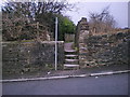 Steps at the start of the footpath off Carry Lane