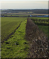 SE9037 : Towards Low Field Farm, North Newbald by Paul Harrop