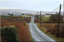 G8778 : Road at Glencoagh by louise price