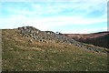 Cairn near Chapelton