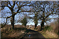 Hoober Hall Lane in Winter Sun