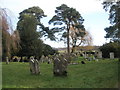 Far end of the churchyard at St Nicholas, Wickham