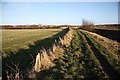 Swanpool footpath