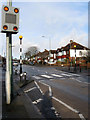 Zebra Crossing, Nevill Road