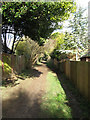 Bridleway to Three Cornered Copse