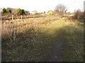 Attenborough Nature Reserve Path by the railway