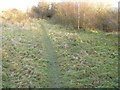 Attenborough Nature Reserve Path by the railway