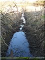 Manor Park Toton stream