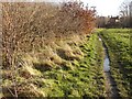 Manor Park Toton path