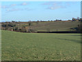 Fields near Lambley