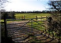 Paddocks near to Cottesmore