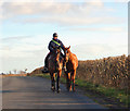 Riding near Long Itchington