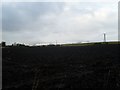 Muddy field at Parkholm Farm