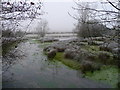 SU2945 : Thruxton - Mullens Pond by Chris Talbot