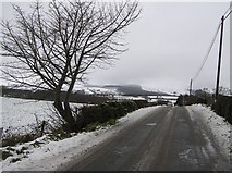 H5375 : Spring Road in winter by Kenneth  Allen