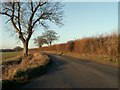 Aveley Lane, just before you reach Shimpling village