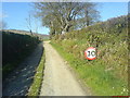 C3823 : Lane in Ballyderowen, Burnfoot by David Mc Auley
