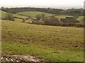 Countryside near Ivyton Farm