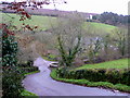 Steep descent into Ashcombe