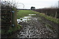 Muddy Public Footpath