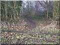 Footpath junction in East Wood, Otham