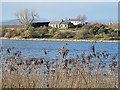 Cottages by Forfar Loch