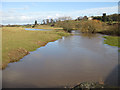 River Lugg from Mordiford Bridge