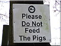 Do Not Feed The Pigs, apart from Jimmy